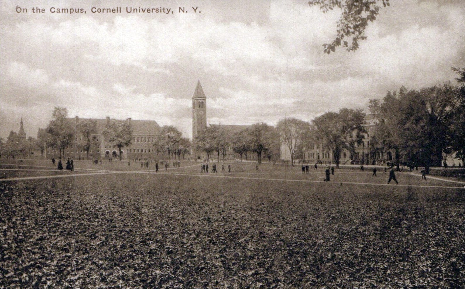 Students crossing a university quadrangle